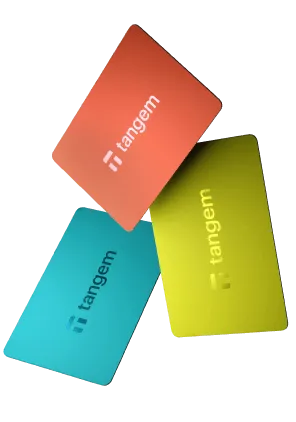 Tangem wallet, Vivid Tangem